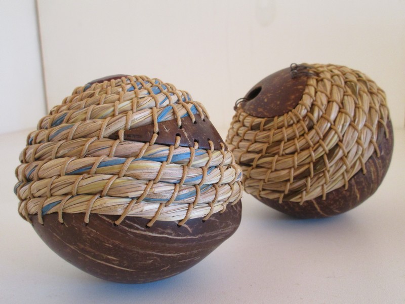 Cocograines 1