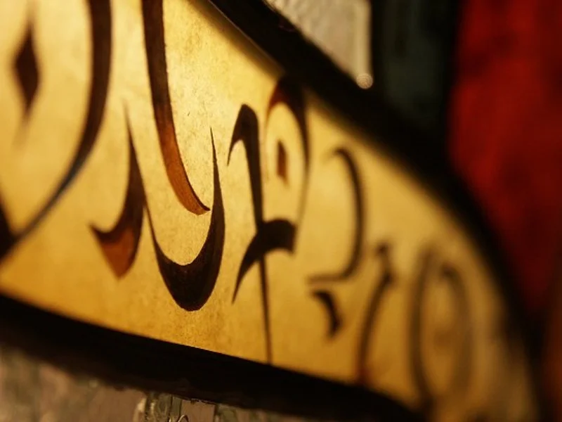 Alchimie Culturelle 6