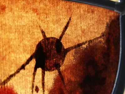 Lendemain Magmatique 5